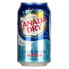 Canada Dry Club Soda 355ml image Canada Dry Club Soda 355ml