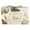 Loison Panettone Amarena L9159 1kg image Loison Panettone Amarena L9159 1kg