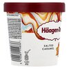 Haagen-D.** Salted Caramel 460ml image Haagen-D.** Salted Caramel 460ml