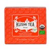 Kusmi Organic Boost - Box of 20 Mousseline Tea Bags - 40g