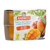 Andros* Apple Mango Vegan Fruit Desserts 4x100g