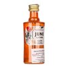 G'vine Floraison June Gin mini 0,05l