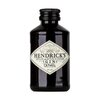 Hendrick's Gin mini 0,05l