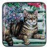 Gwilds Embossed Tabby Cat on a Garden Bench 100g image Gwilds Embossed Tabby Cat on a Garden Bench 100g