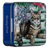 Gwilds Embossed Tabby Cat on a Garden Bench 100g image Gwilds Embossed Tabby Cat on a Garden Bench 100g