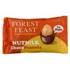 Forest Feast étcsokoládéba mártott mogyoró 35g image Forest Feast étcsokoládéba mártott mogyoró 35g