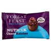 Forest Feast étcsokoládéba mártott mazsola 35g
