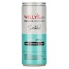 Willy's Sparkling Apple Kombucha & ACV 250ml