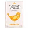 Higher living Bio gyömbéres tea (15 filter) 37g
