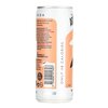 Artisan Drinks ASD Ginger Soda 250ml