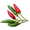 Friss chili paprika piros /zöld 100g