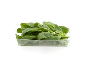 Bazsalikom doboz image Bazsalikom doboz