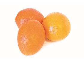Narancs Götter kg