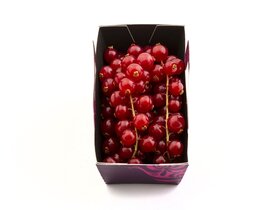 Ribizli 125g image Ribizli 125g