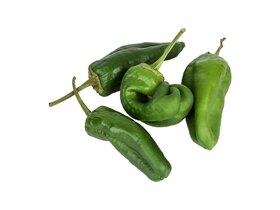 Padron paprika kg