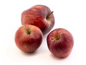 Bio alma kg image Bio alma kg