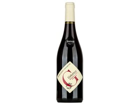 Pierre-Marie Chermette Beaujolais Nouveau Les Griottes 2024 0,75l