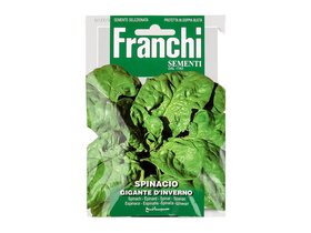 Franchi Spinacio gigante d'inverno