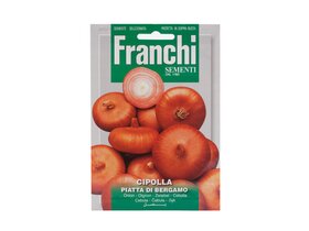 Franchi Hagyma (piatta di bergamo) vetőmag