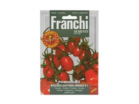 Franchi kisméretű paradicsom (hibrid)