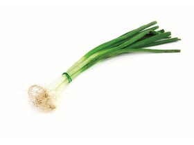 Újhagyma csomag Újhagyma csomag