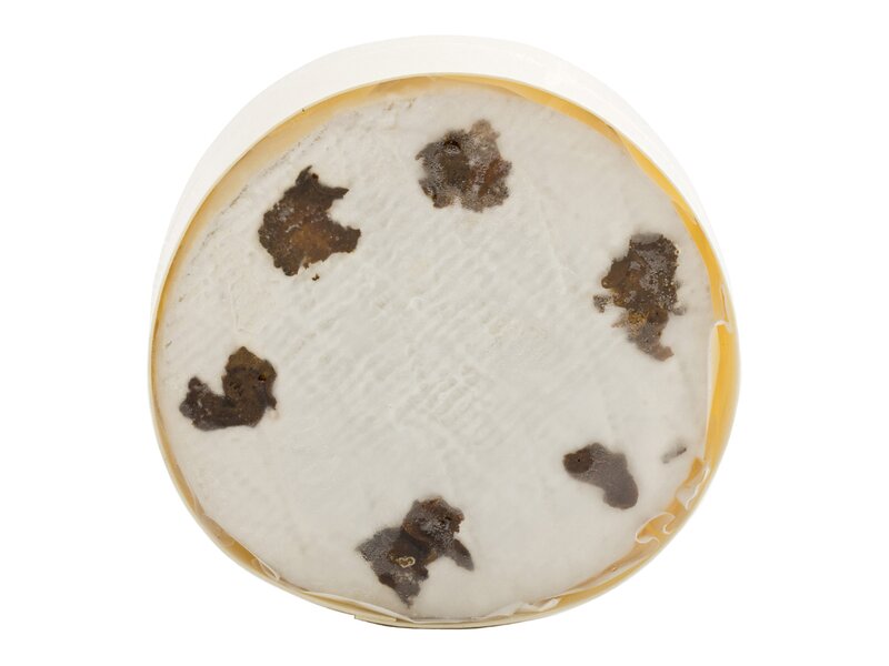 FR Coulommiers Truffe Blanche nyers FRO