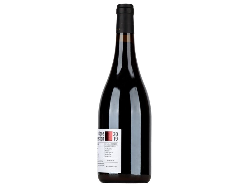 Haraszthy Pinot Noir Clone Selection #677 2019 0,75l