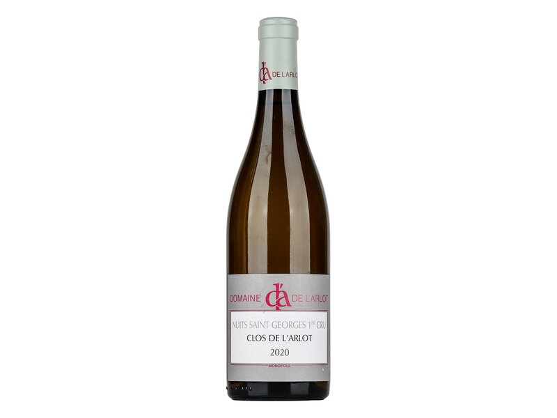 Domaine de L'Arlot Nuits Saint George 1er Cru 2020 0,75l