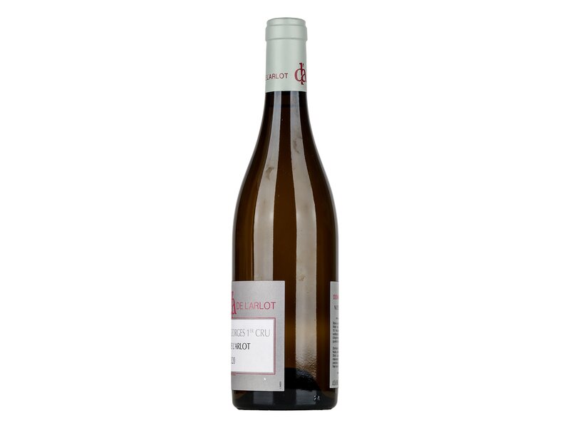 Domaine de L'Arlot Nuits Saint George 1er Cru 2020 0,75l