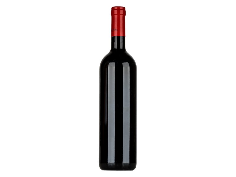 Vida Carmenére 2021 0,75l