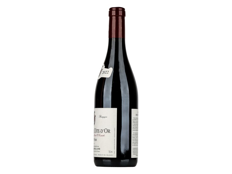 Roger Belland Bourgogne Cote d Or Rouge 2022 0,75l