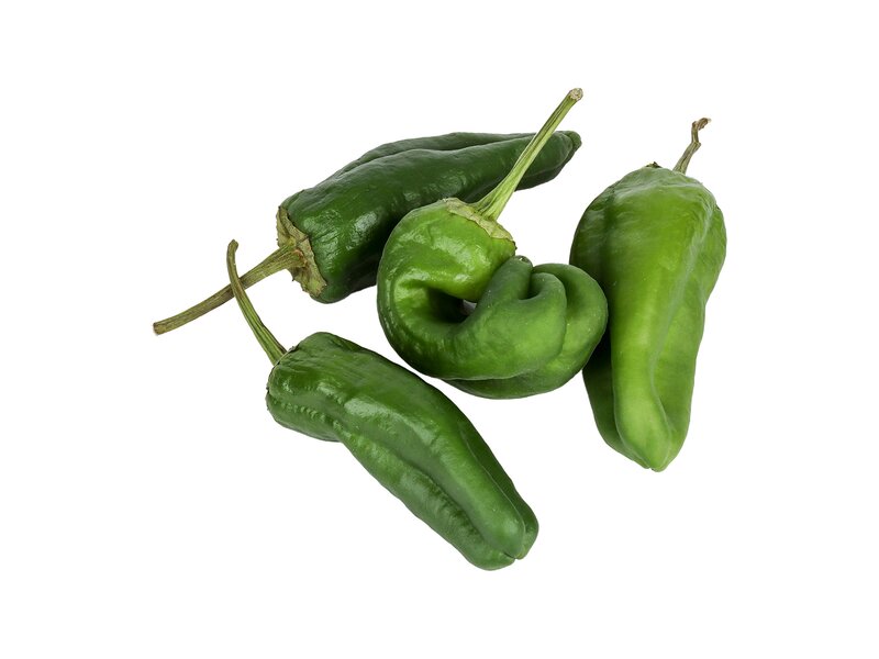 Padron paprika kg