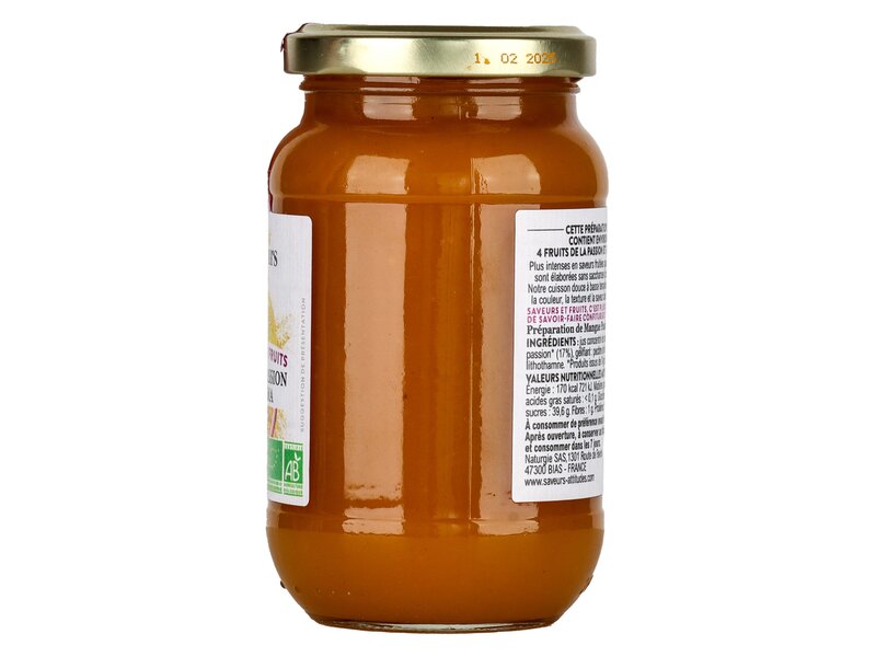 Saveurs Fruit Mangue Passion Curcuma Bio 310g