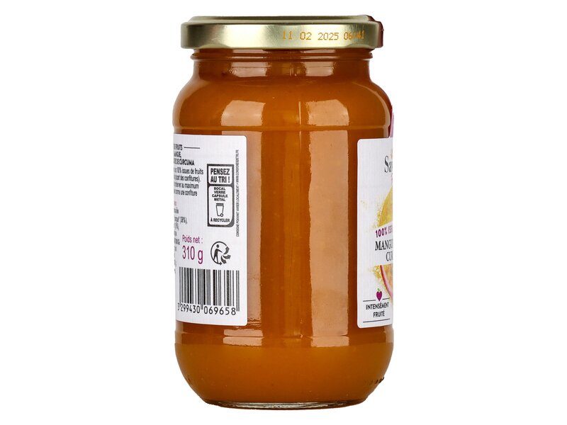 Saveurs Fruit Mangue Passion Curcuma Bio 310g