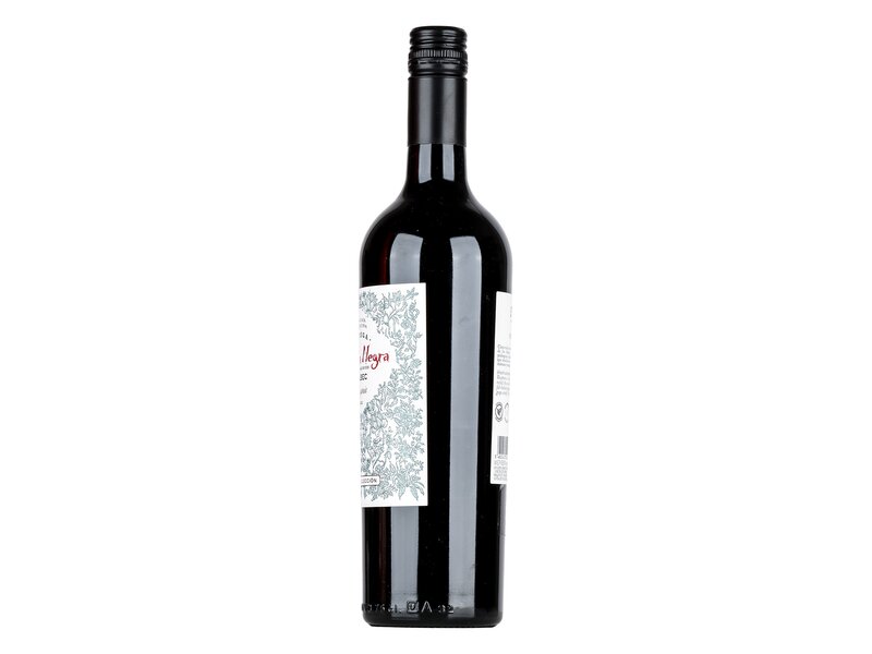 Piedra Negra Alta Coleccion Malbec BIO 2022 0,75l