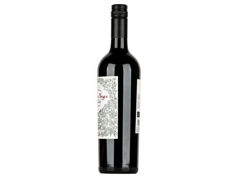 Piedra Negra Malbec Organic Alta Coleccion 2020 0,75l