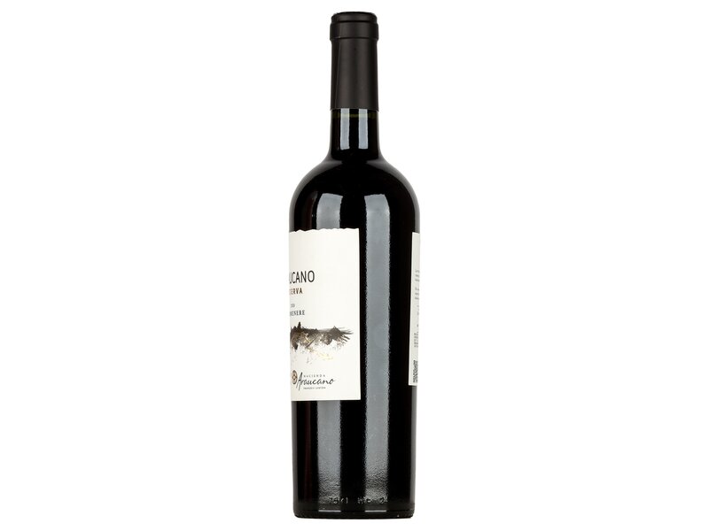 Araucano Reserve Carmenere 2020 0,75l