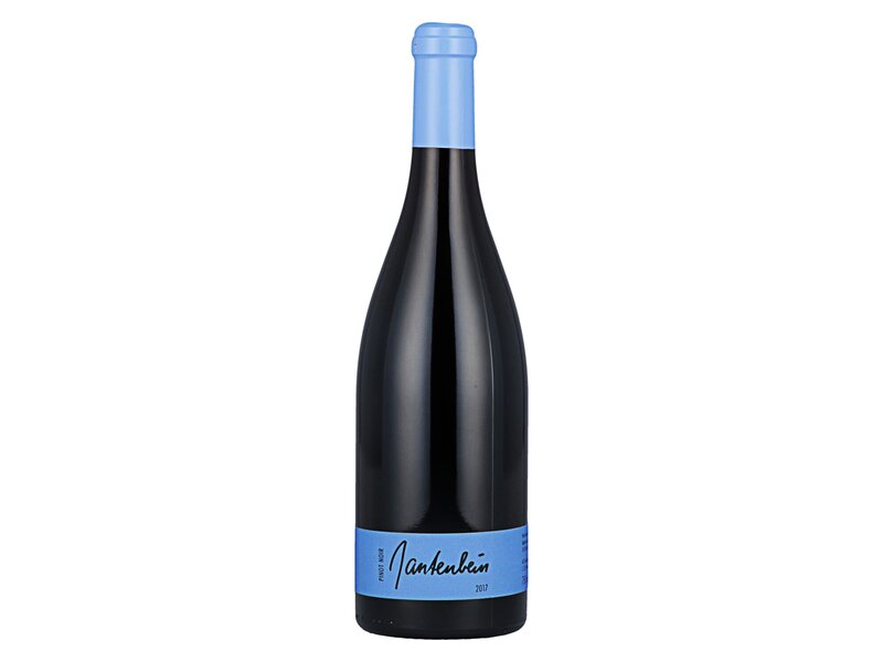 Gantenbein Pinot Noir 2017 0,75l
