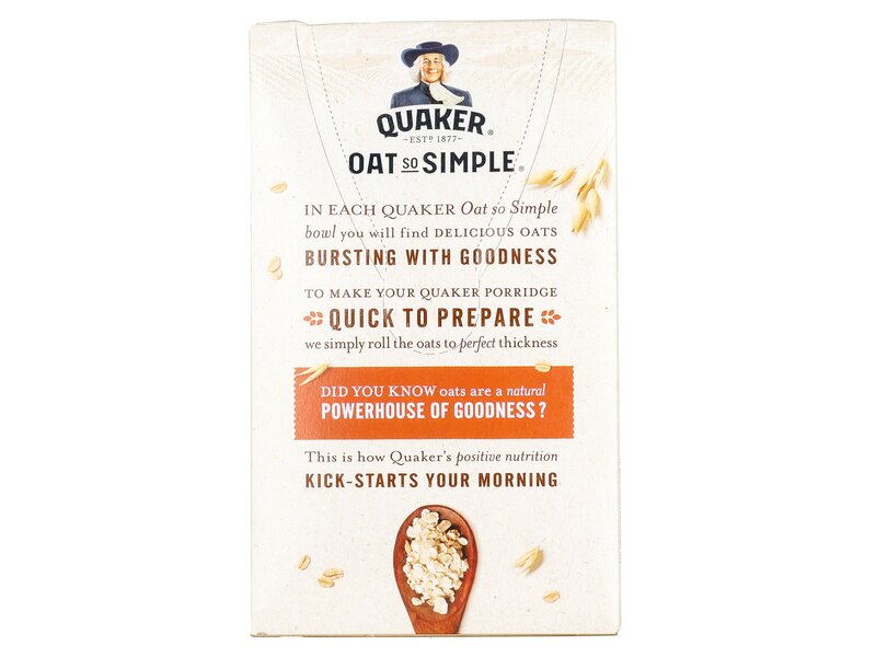 Quaker Oat So Simple Cinnamon 10x33g