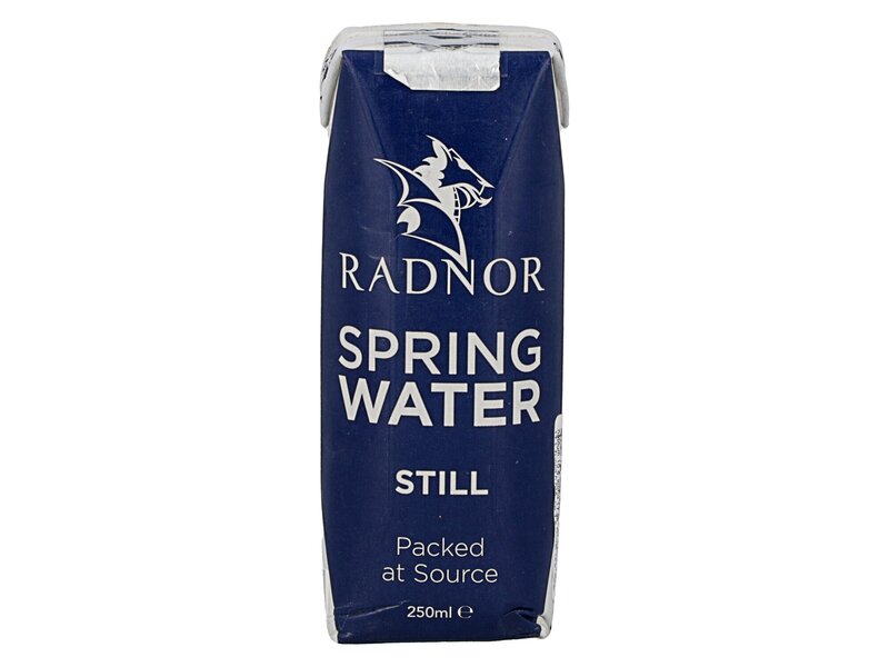 Radnor Hills Spring Water Still 250ml