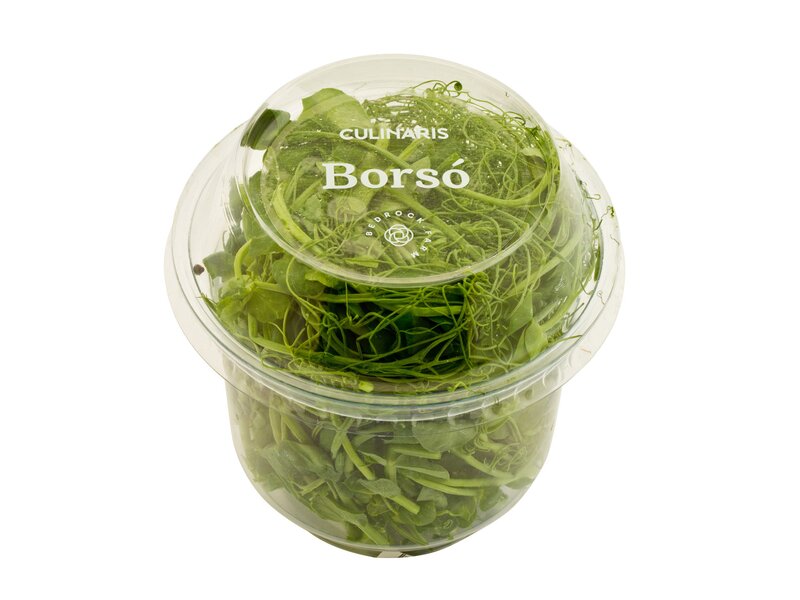 Borsó mikrozöld 1 db