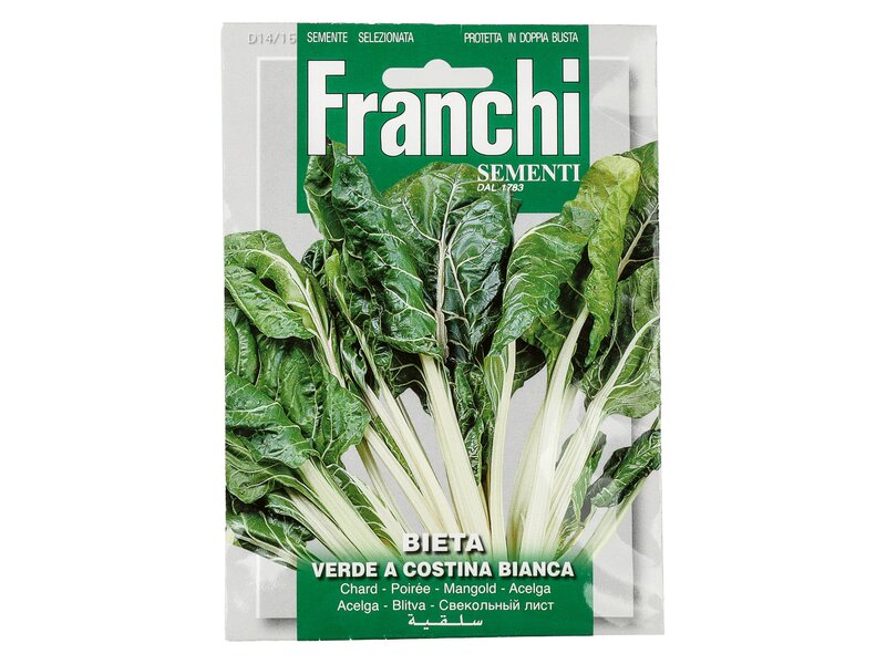 Franchi Dús levelű zöld mángold vetőmag