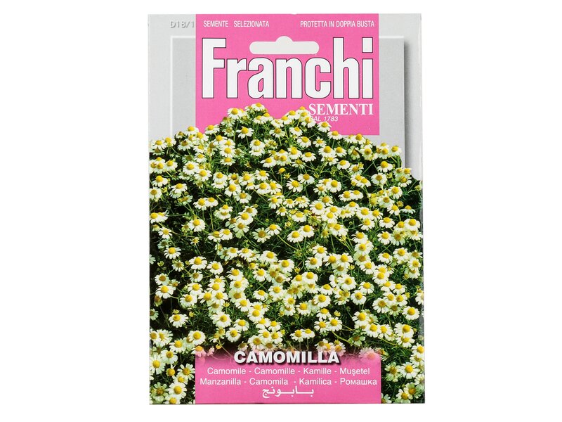 Franchi kamillavirág vetőmag