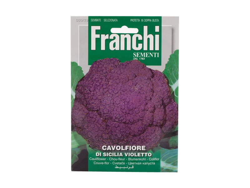 Franchi Cavolfiore Sicilia Violetto
