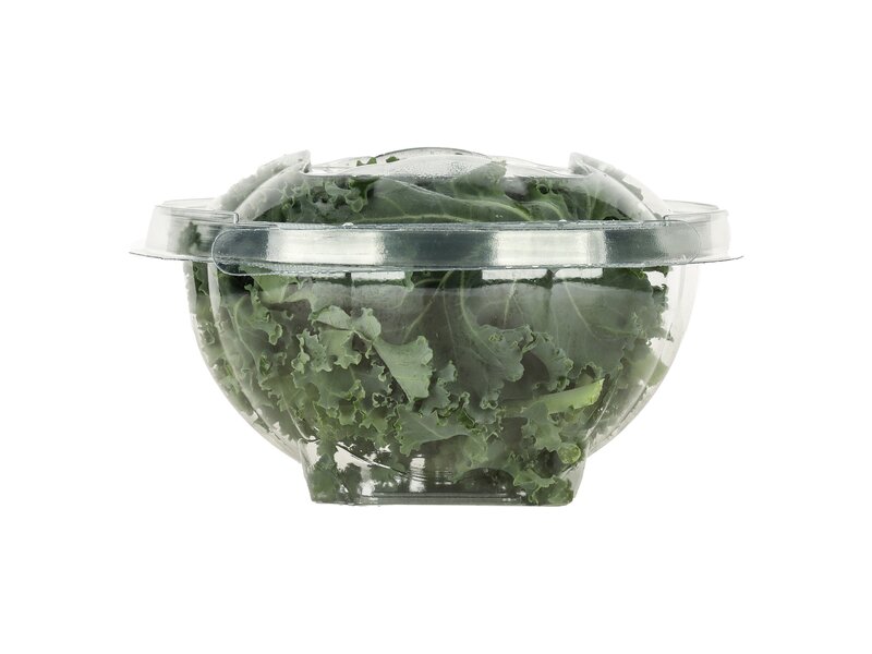 Fodros kel mikrozöld hajtás 1 db