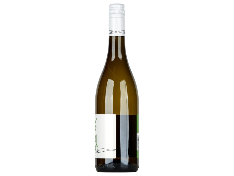 Homola 100% Rizling 2021 0,75l