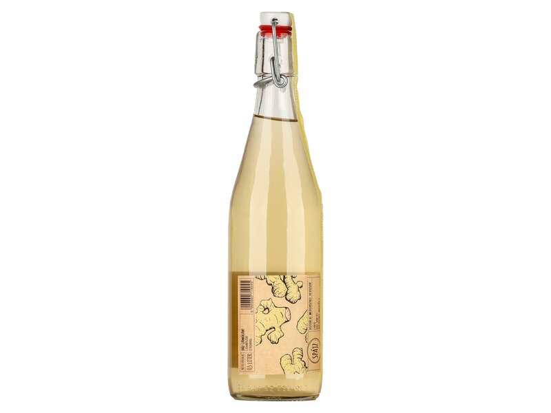 Spájz Ginger Syrup 0,5l