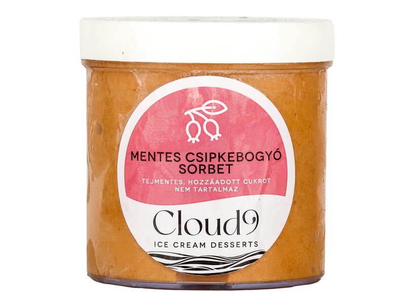 Cloud 9 ** fagylalt cukormentes csipkebogyó sorbet 240ml