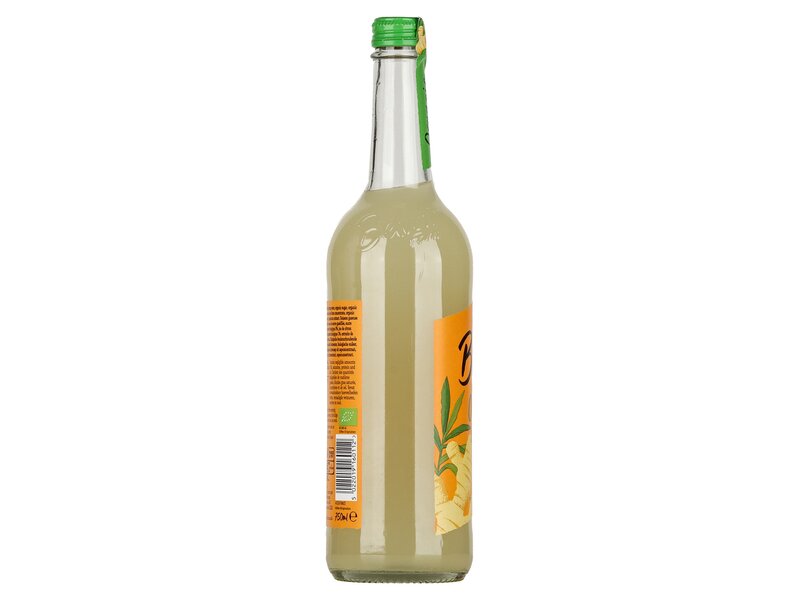 Belvoir Farm Organic Ginger Beer 750ml