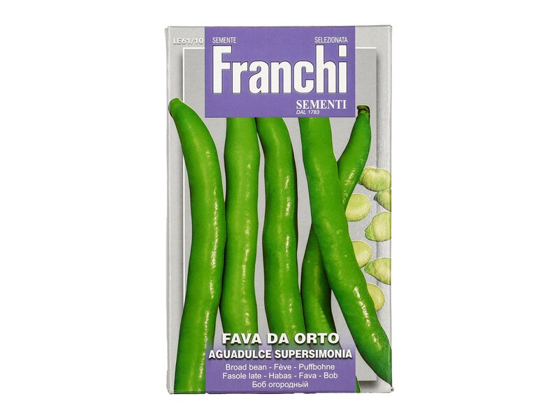 Franchi fava bab vetőmag